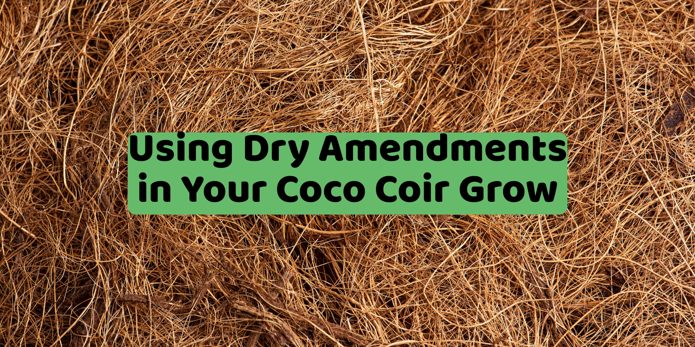 3 Tips for Growing in Coco Coir - GreenPlanet Nutrients USA