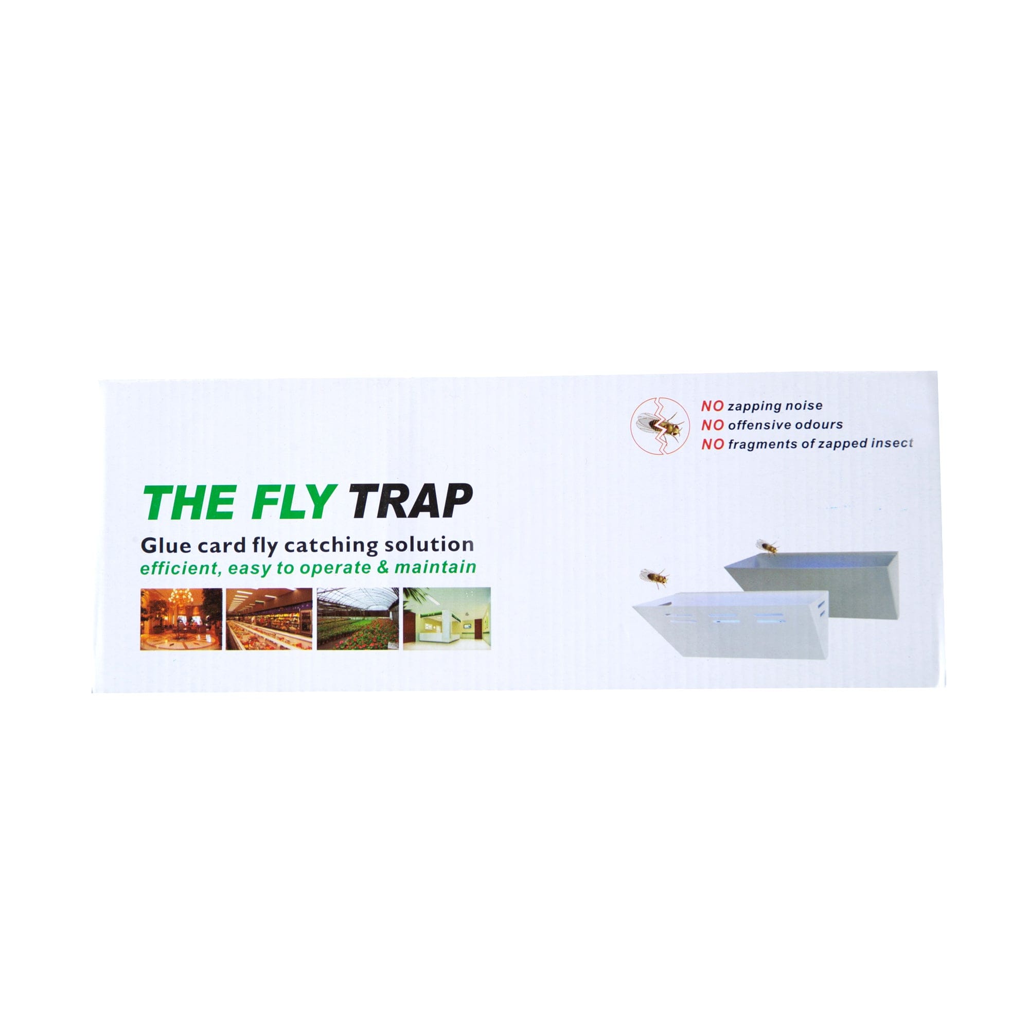 Effective Gnat Trap - Say Goodbye to Gnats