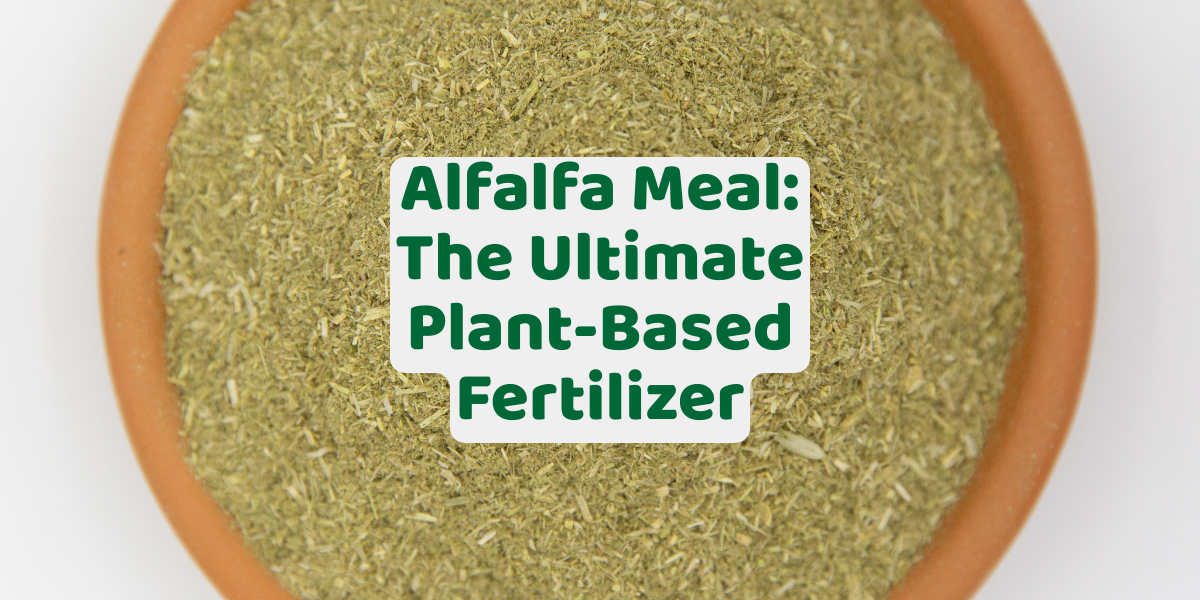 Alfalfa Meal 50 lb. -MerryMixer-alf-meal-50lb