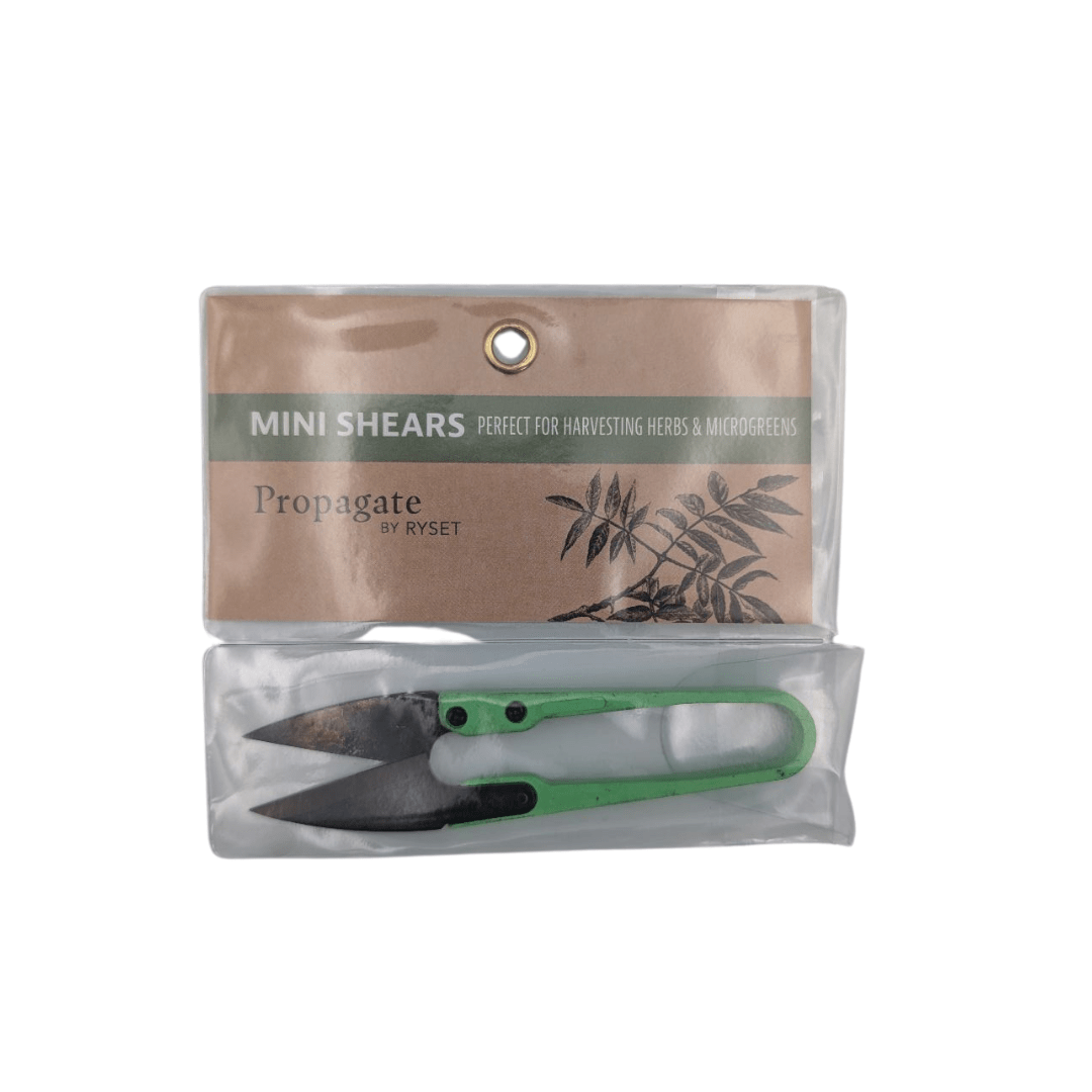 Ryset Gardening Accessories > Propagation Tools > Secateurs & Scissors Mini Clippers / Shears - Great for Propogation & Trimming