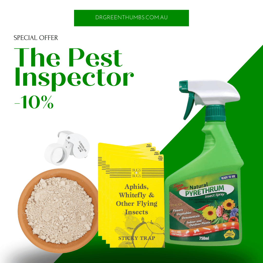 Dr Greenthumbs Hydroponic Supplies > Pest Control The Pest Inspector - Monitor & react to your pest pressures!