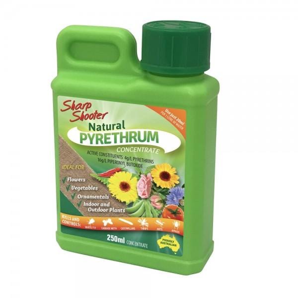 Sharp Shooter Organic Gardening > Organic Pest Control Pyrethrum Concentrate - Organic Pesticide Insecticide (250ml)