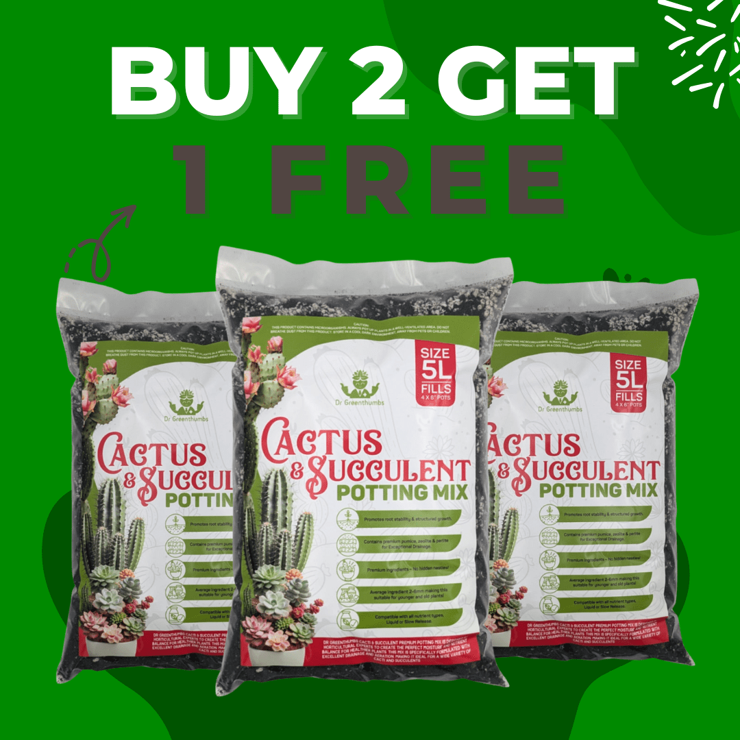 Dr Greenthumbs Organic Gardening > Potting Soil & Growing Media 3 x 5L Bags Buy 2 Get 1 Free - Cactus & Succulent Potting Mix