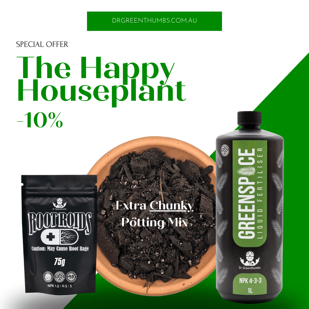 Dr Greenthumbs Organic Gardening > Potting Soil & Growing Media The Happy Houseplant Kit - Everything for your new plant to thrive!